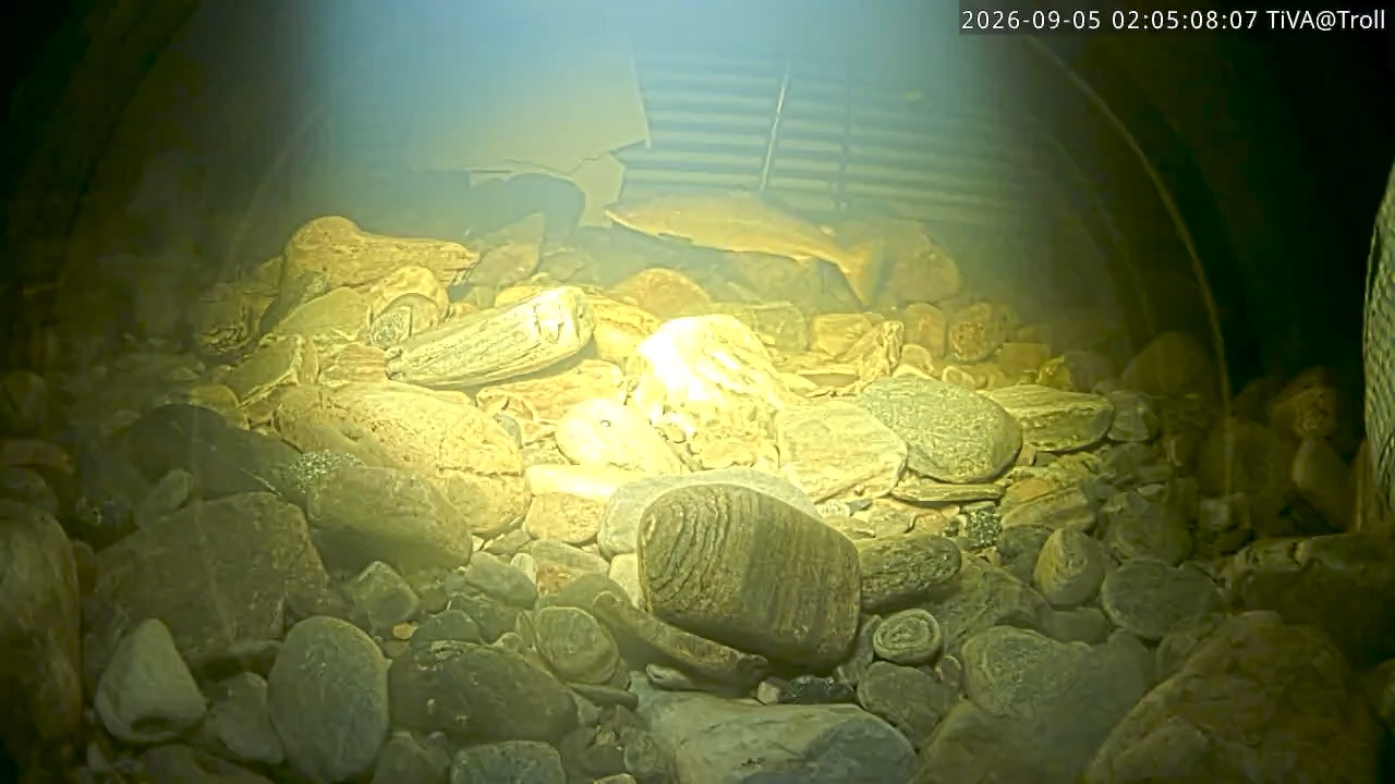 Video 2026-09-05 02:05