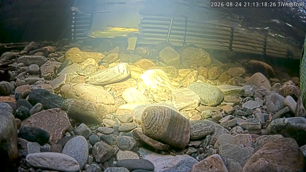 Video 2026-08-24 21:13