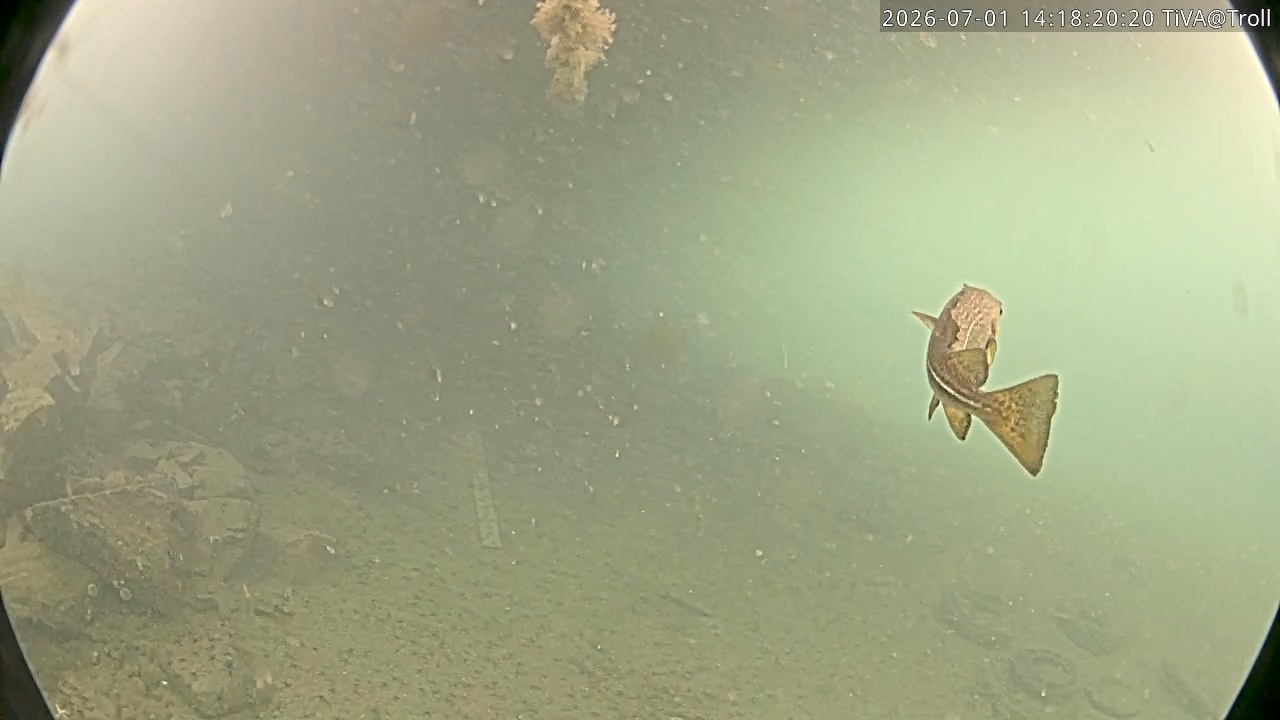 Video 2026-07-01 14:18