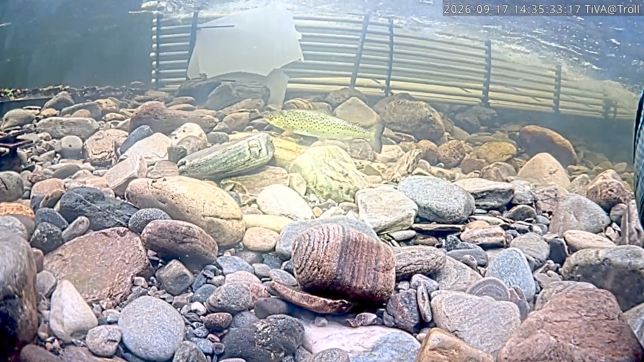 Video 2026-09-17 14:35