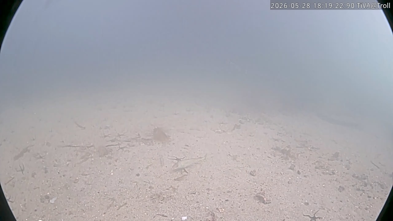 Video 2026-05-28 18:19