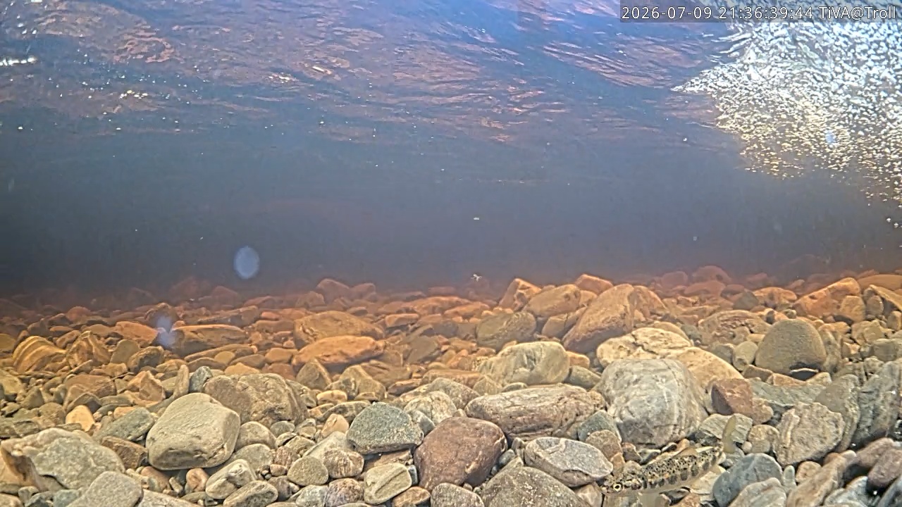 Video 2026-07-09 21:36