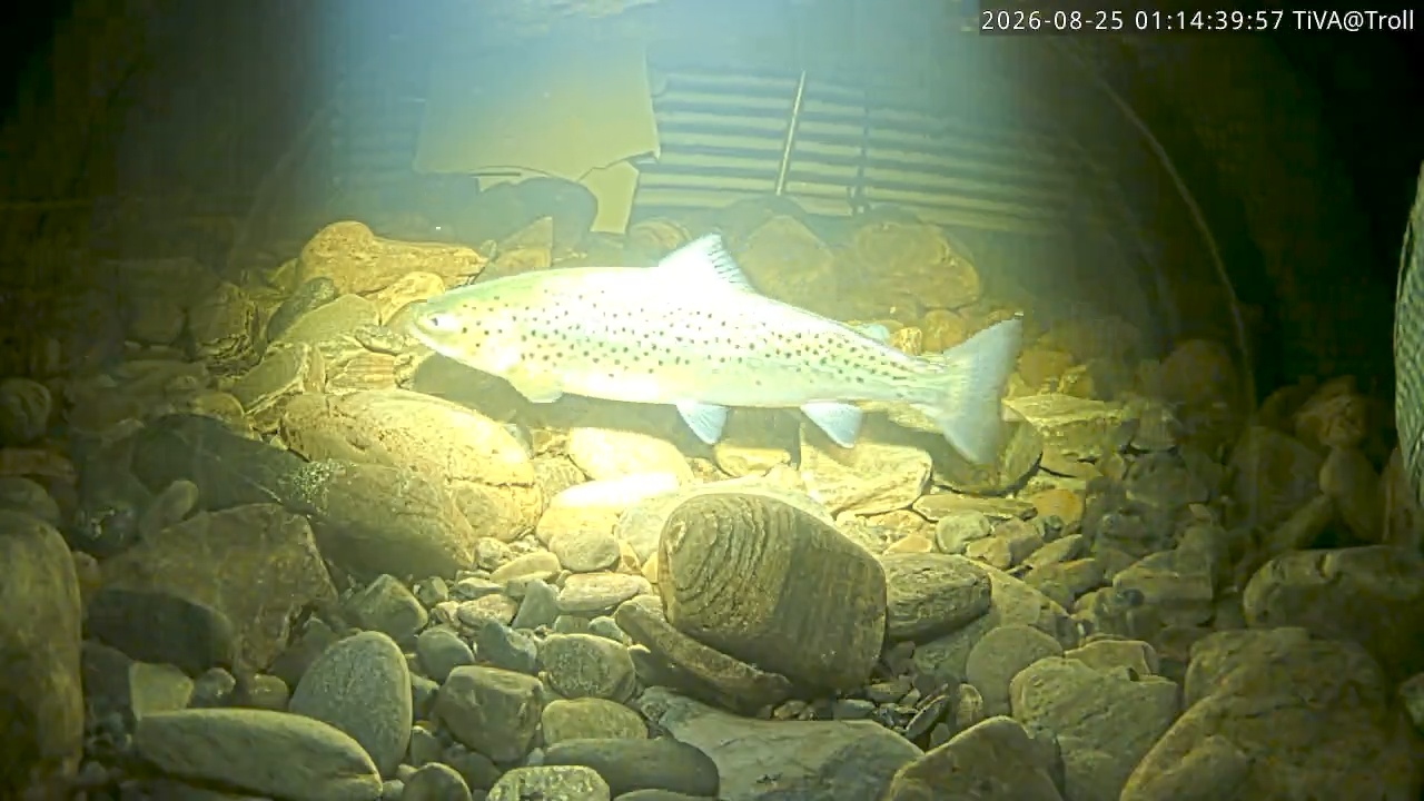Video 2026-08-25 01:14