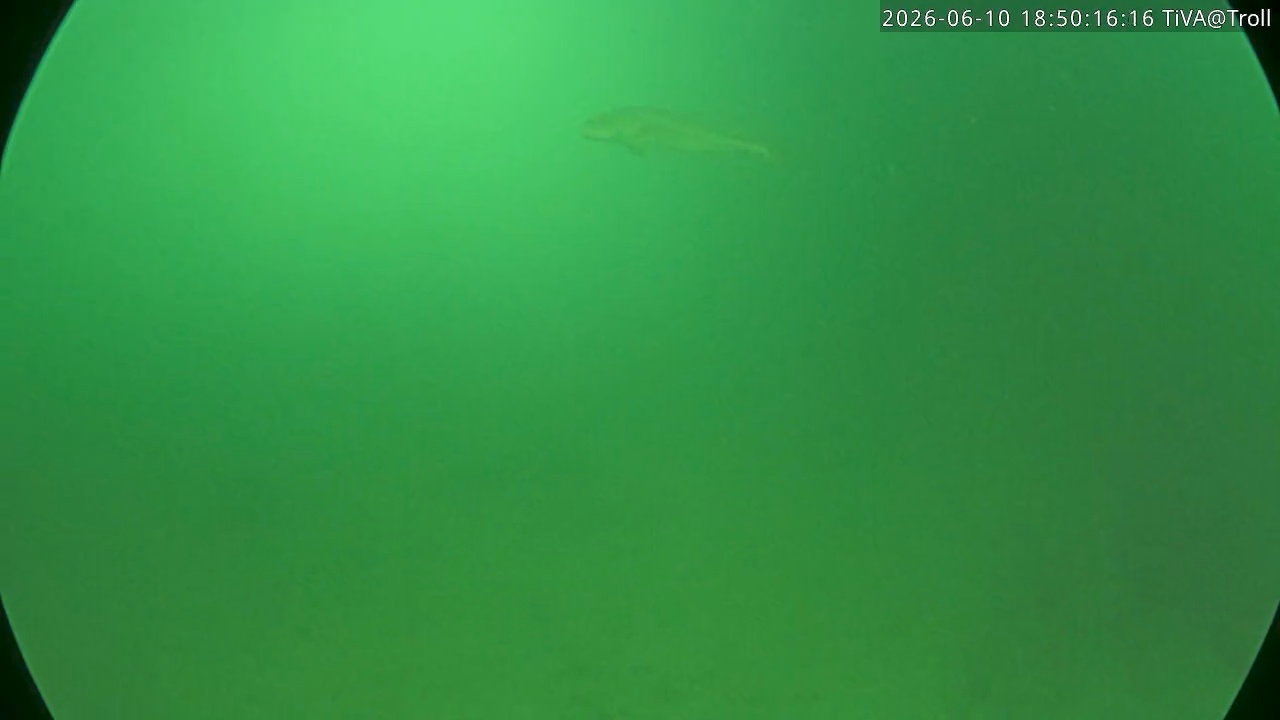 Video 2026-06-10 18:50
