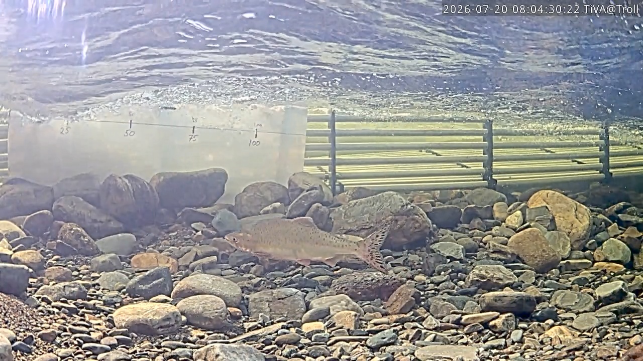 Video 2026-07-20 08:04
