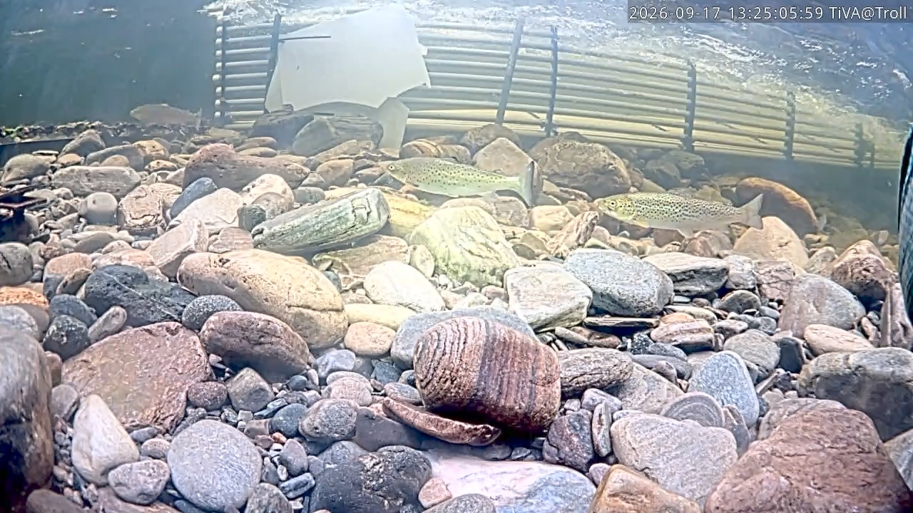 Video 2026-09-17 13:25