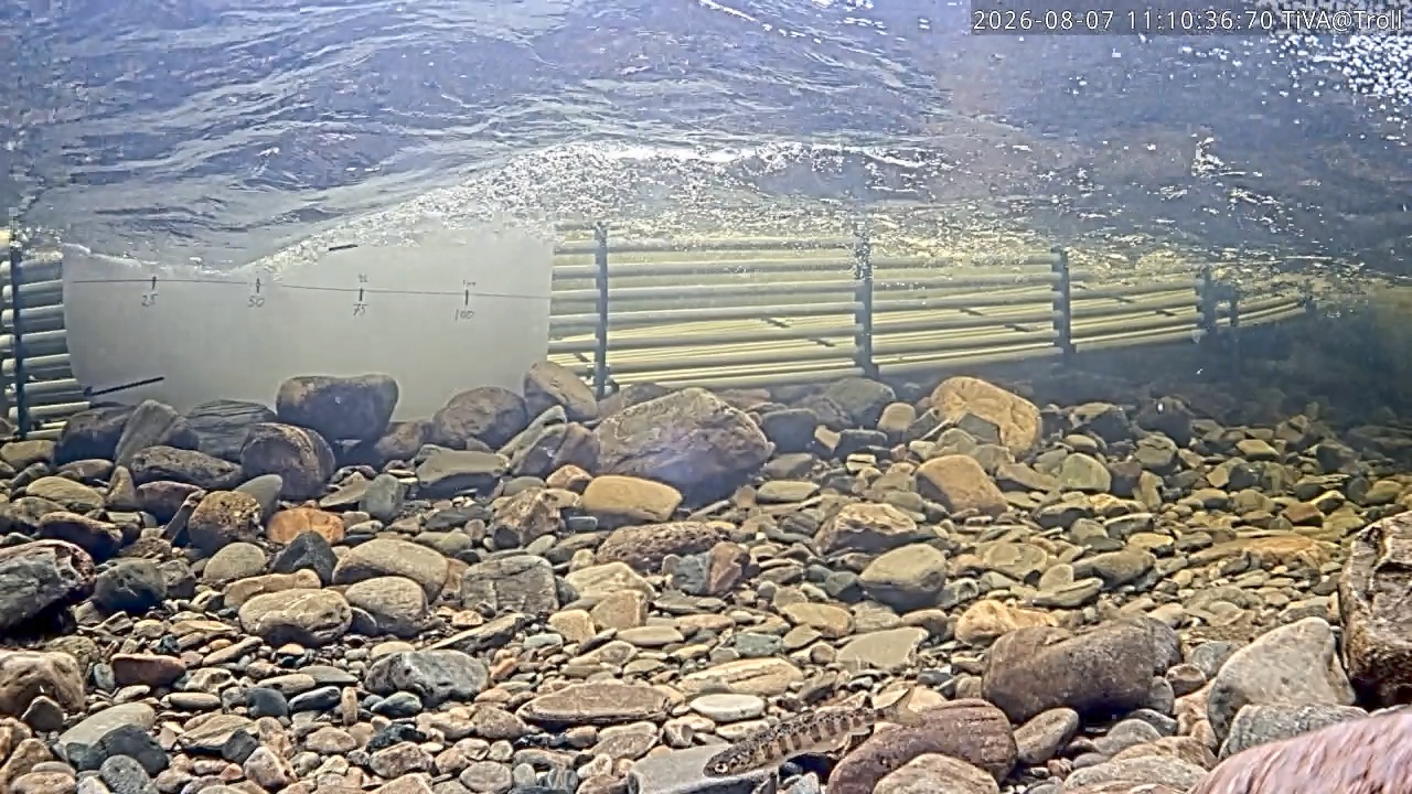 Video 2026-08-07 11:10