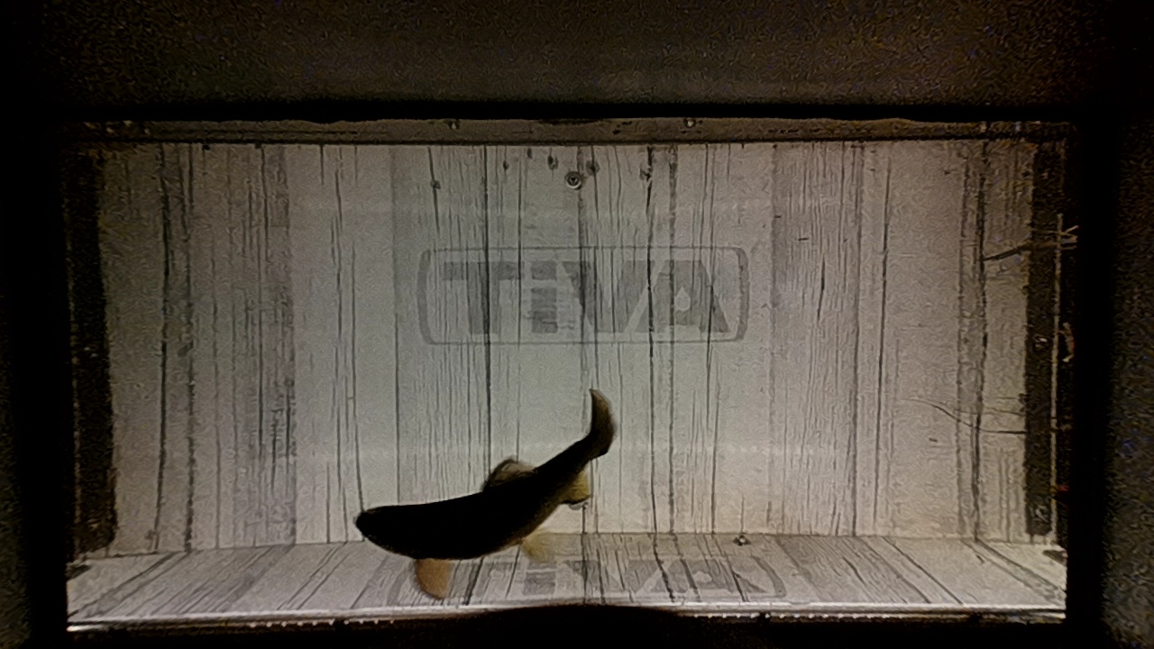 Video 2026-10-15 11:29