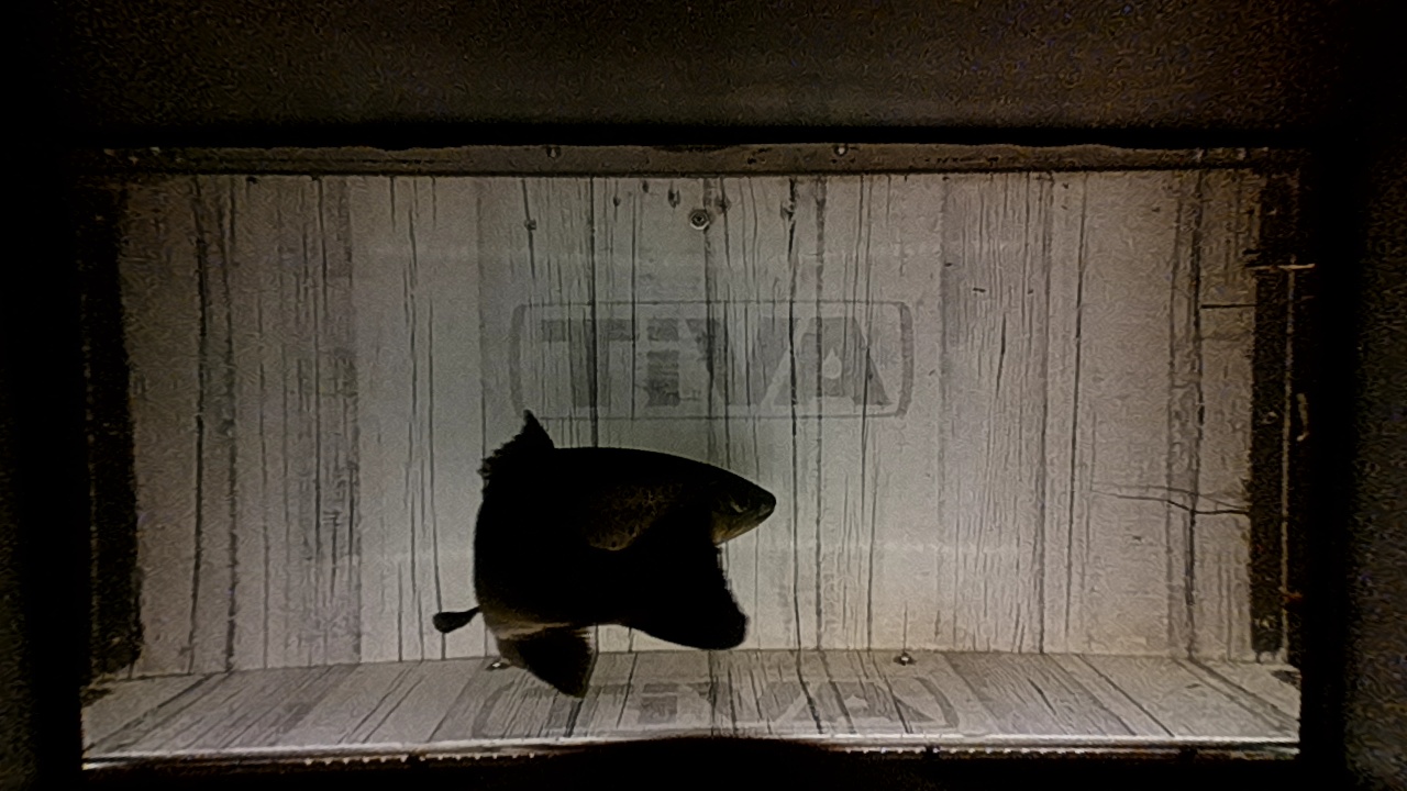 Video 2026-10-15 16:01