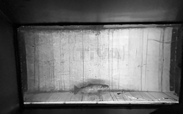 Video 2026-08-31 20:30
