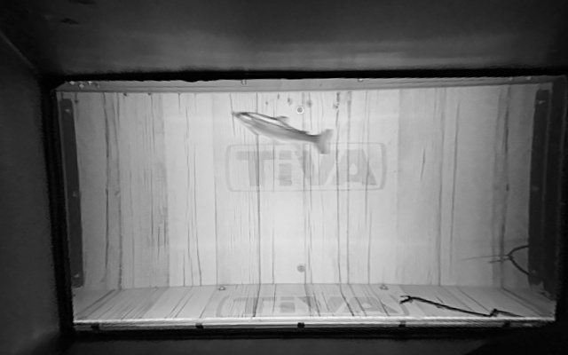 Video 2026-05-15 21:43