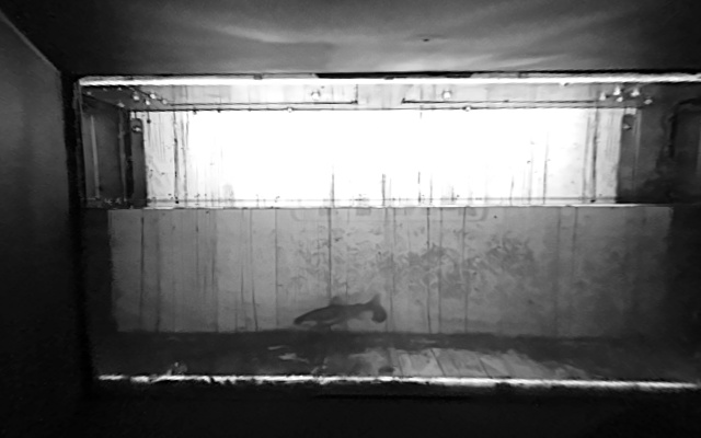 Video 2026-09-20 02:32