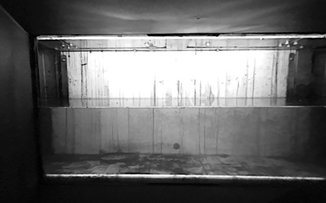 Video 2026-09-17 22:57