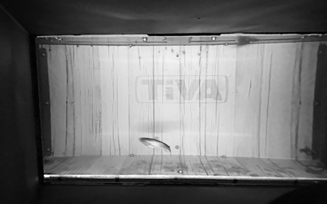 Video 2026-05-14 00:45