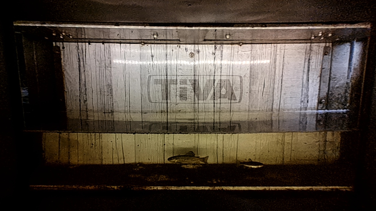 Video 2026-08-15 06:49