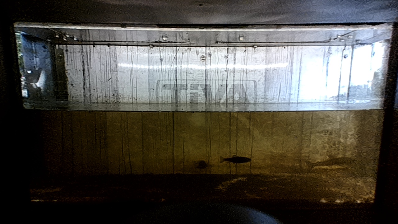 Video 2026-07-01 14:54