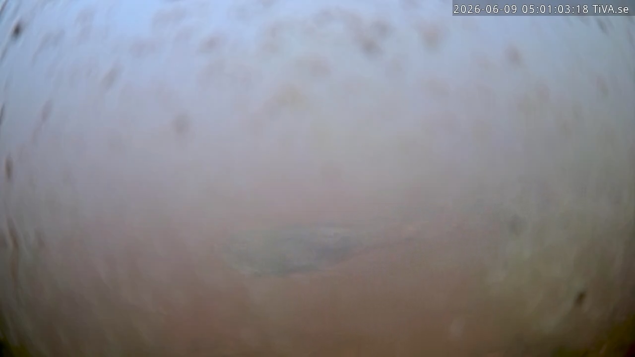 Video 2026-06-09 05:01