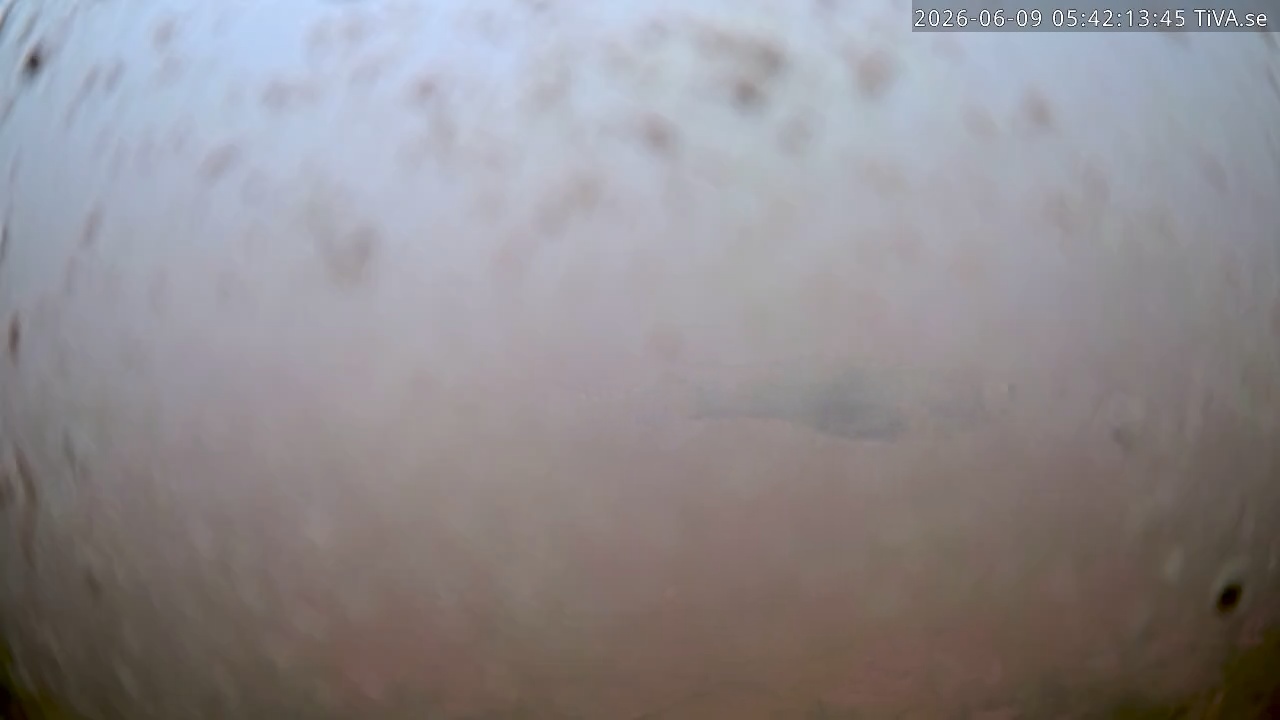 Video 2026-06-09 05:42