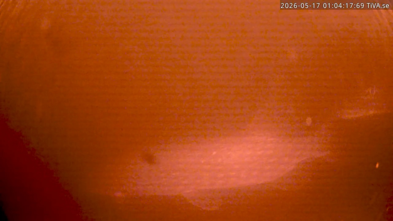 Video 2026-05-17 01:04