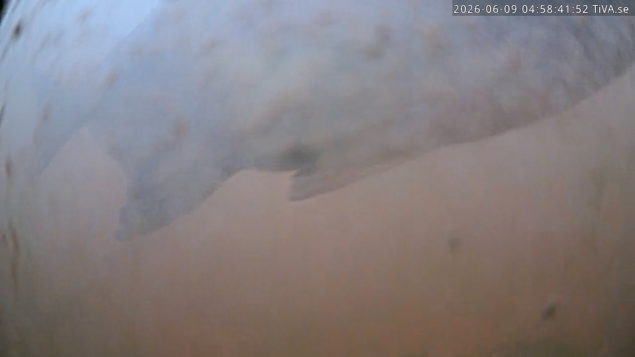 Video 2026-06-09 04:58