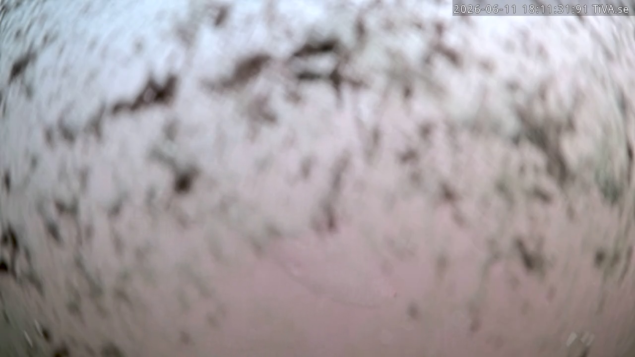Video 2026-06-11 18:11