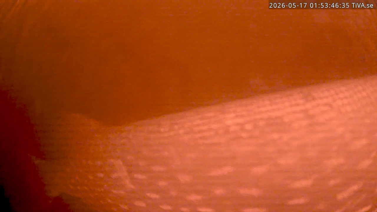 Video 2026-05-17 01:53