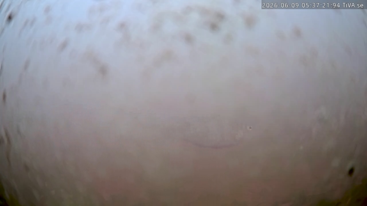 Video 2026-06-09 05:37