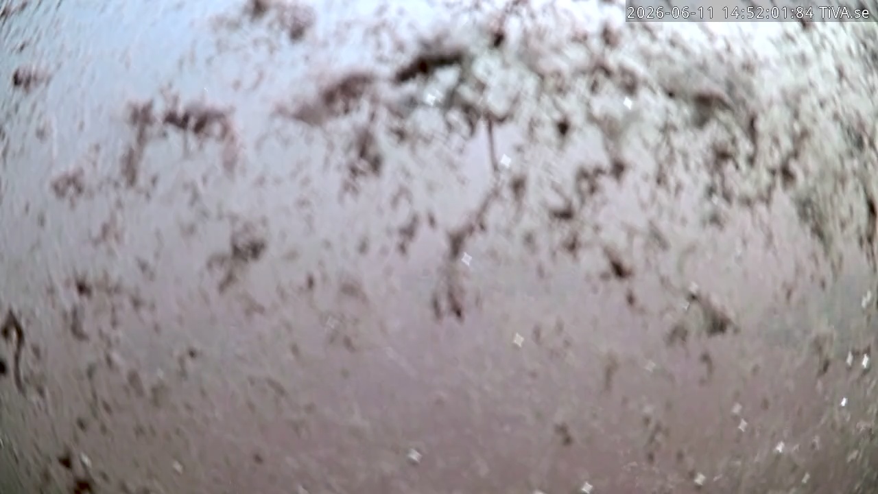 Video 2026-06-11 14:52