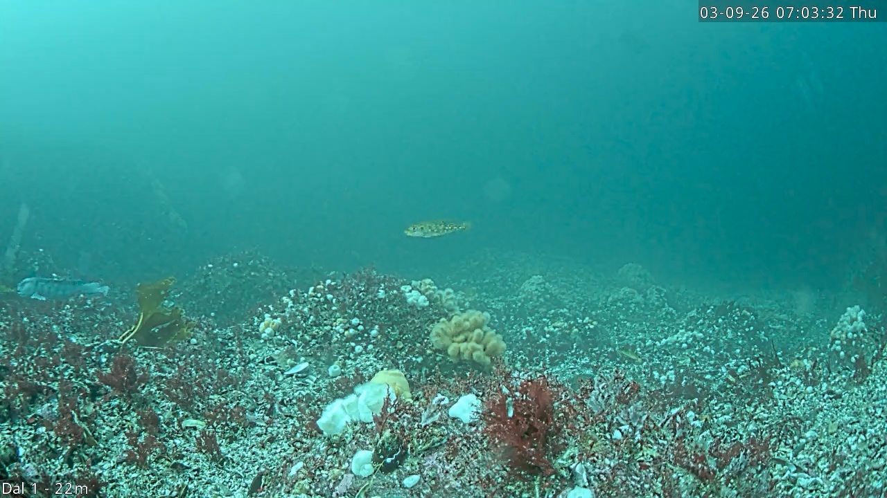 Video 2026-09-03 07:03