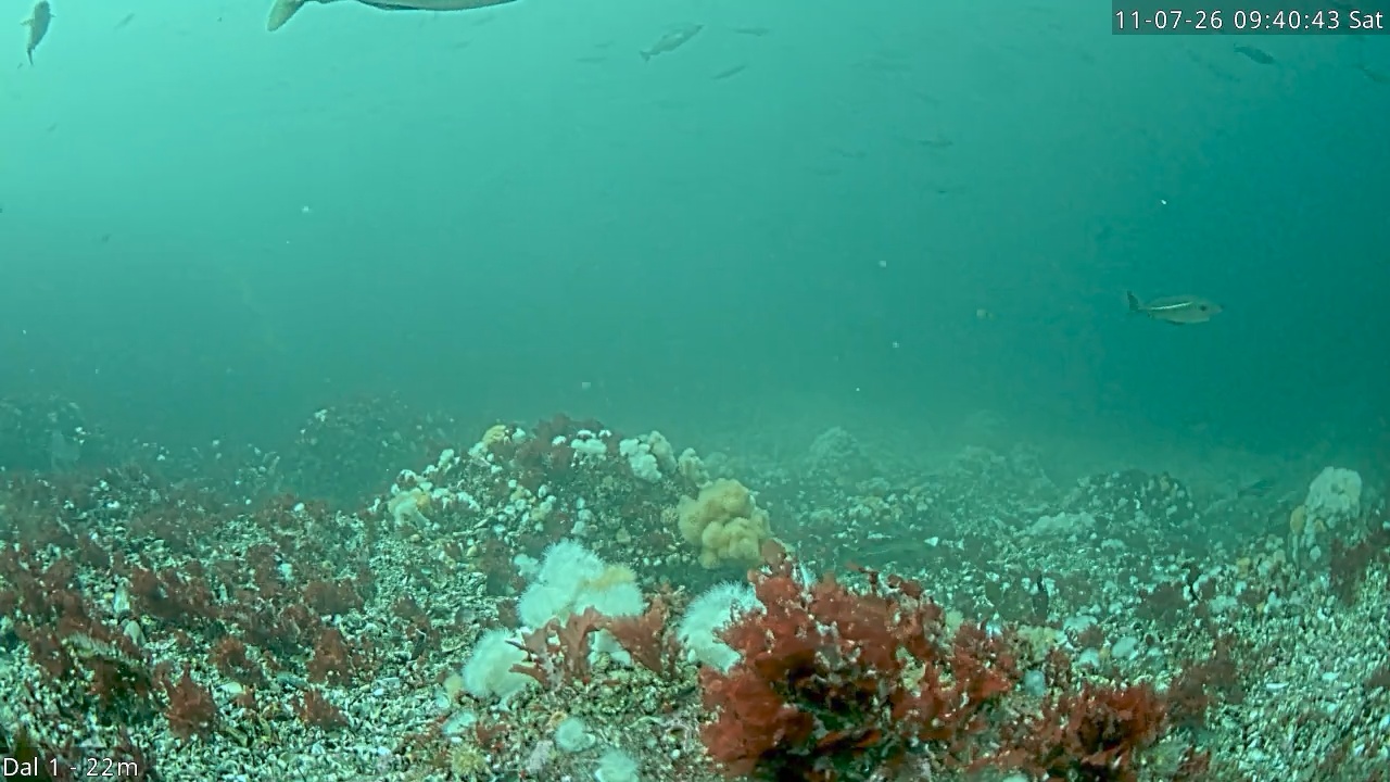 Video 2026-07-11 09:40