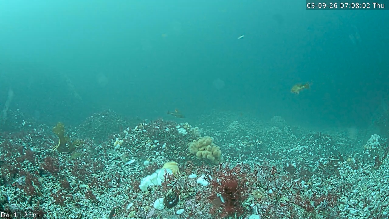 Video 2026-09-03 07:08