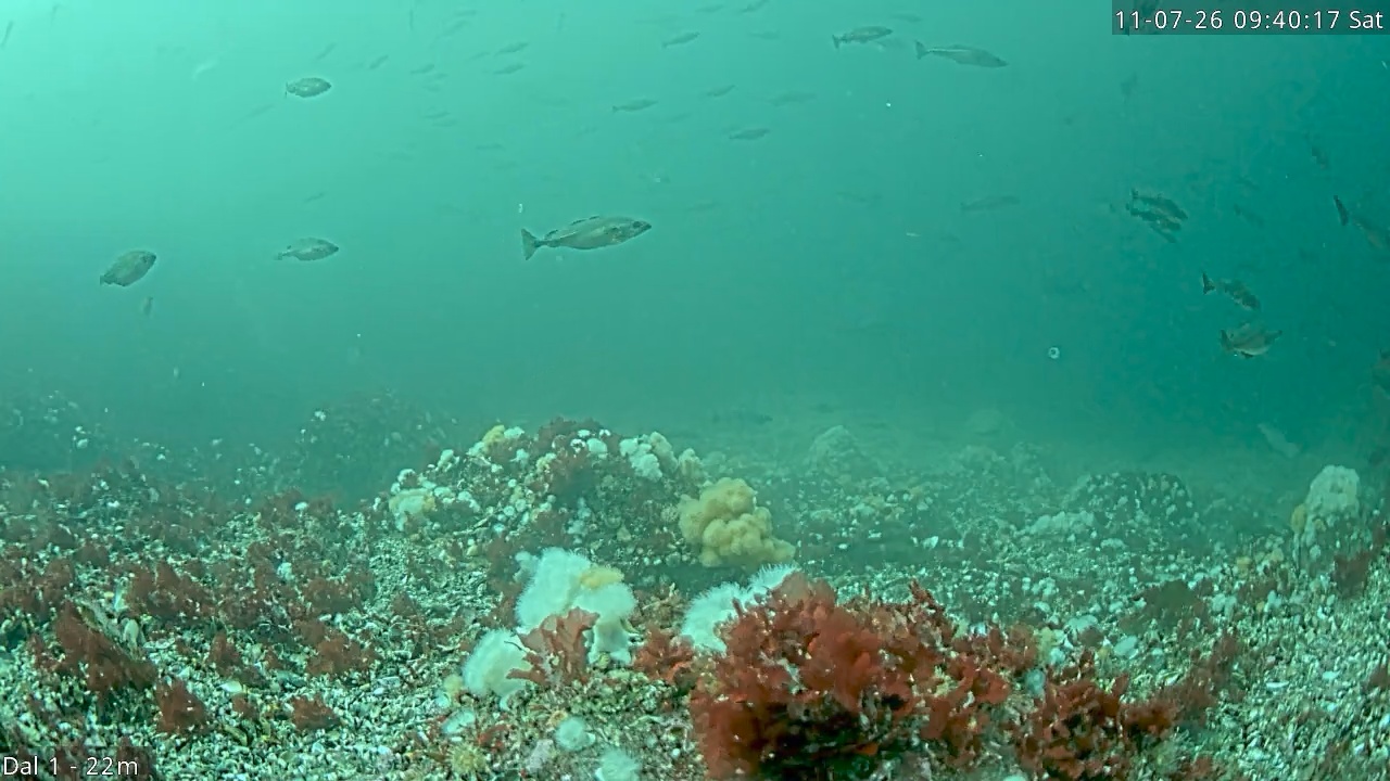 Video 2026-07-11 09:40
