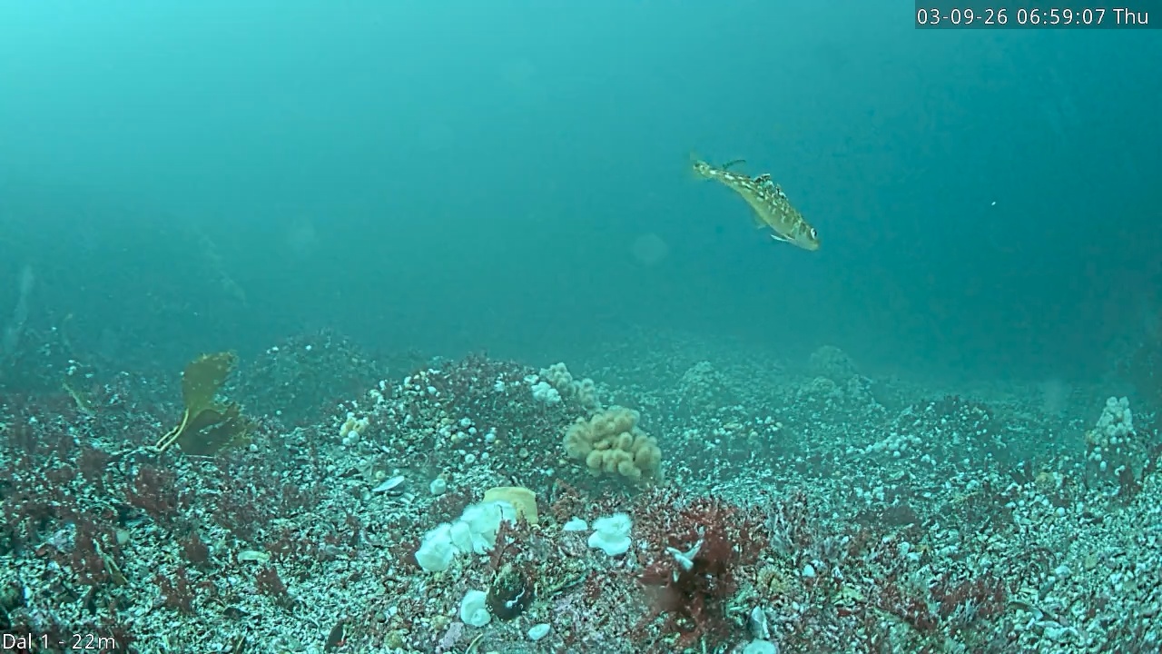 Video 2026-09-03 06:59