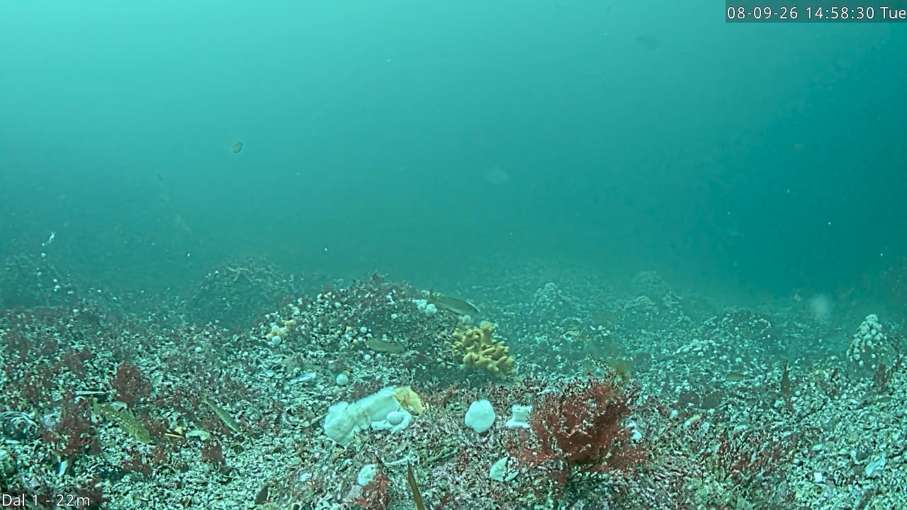 Video 2026-09-08 14:58