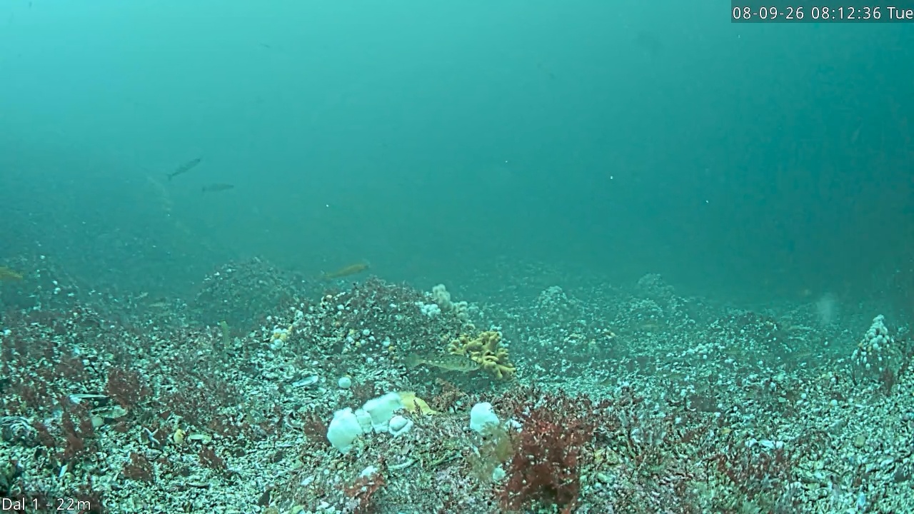 Video 2026-09-08 08:12