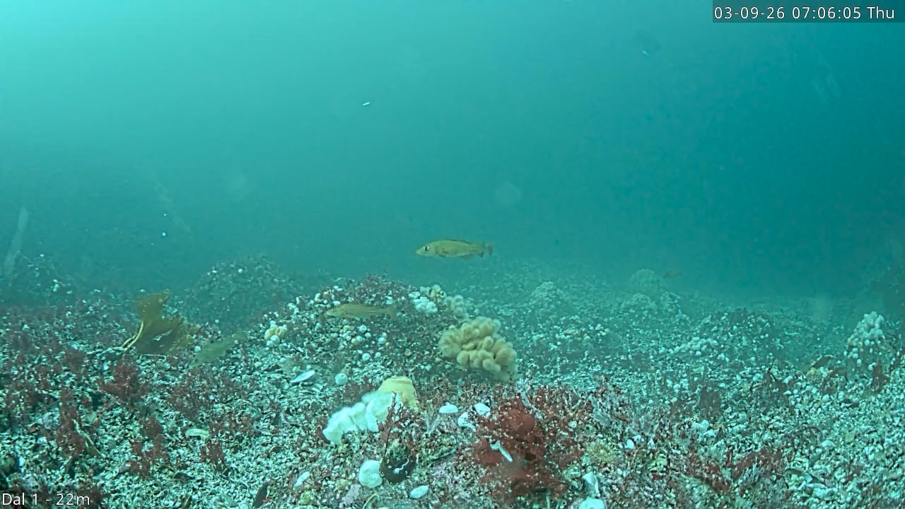 Video 2026-09-03 07:06