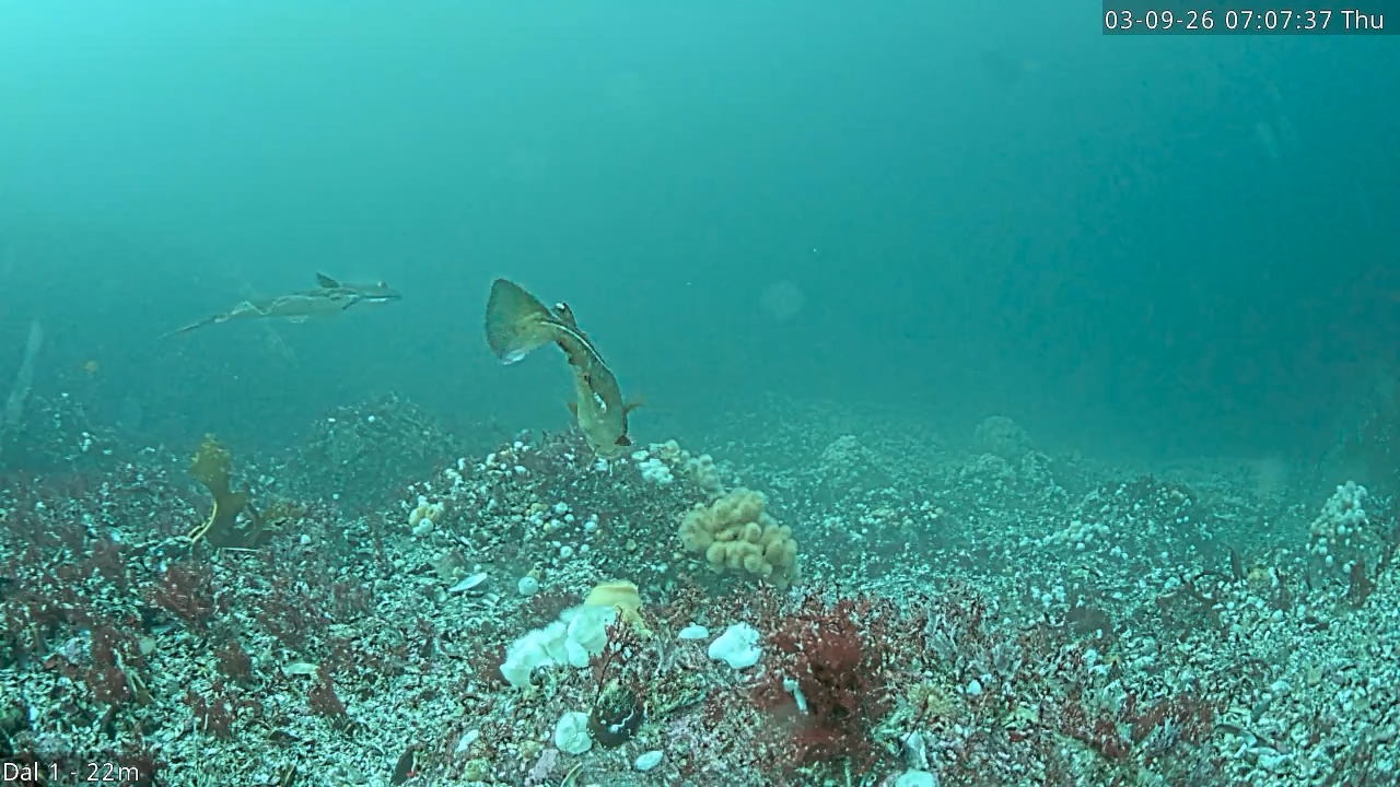 Video 2026-09-03 07:07