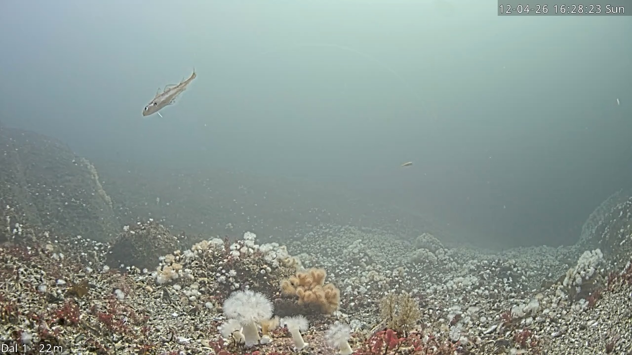 Video 2026-04-12 16:28