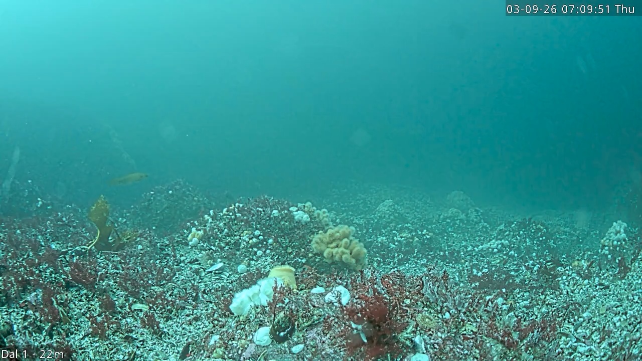 Video 2026-09-03 07:09