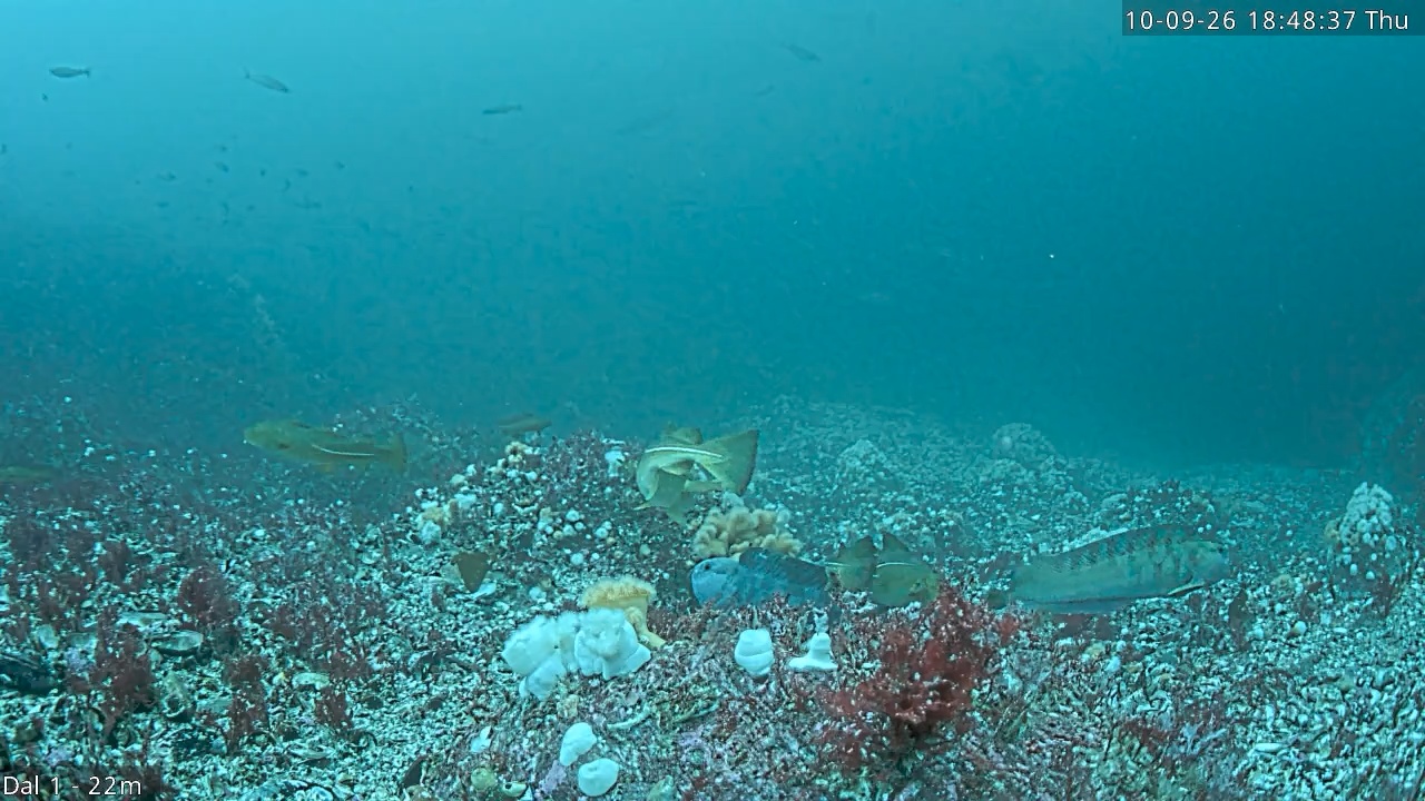 Video 2026-09-10 18:48