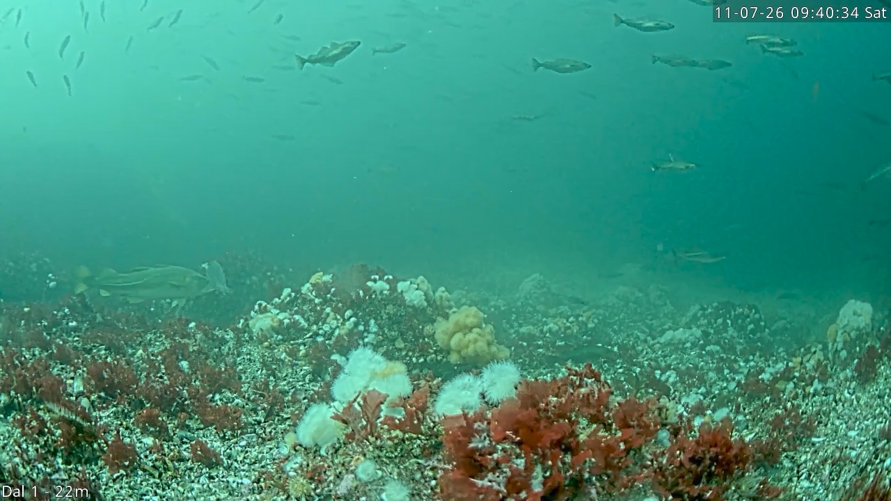 Video 2026-07-11 09:40