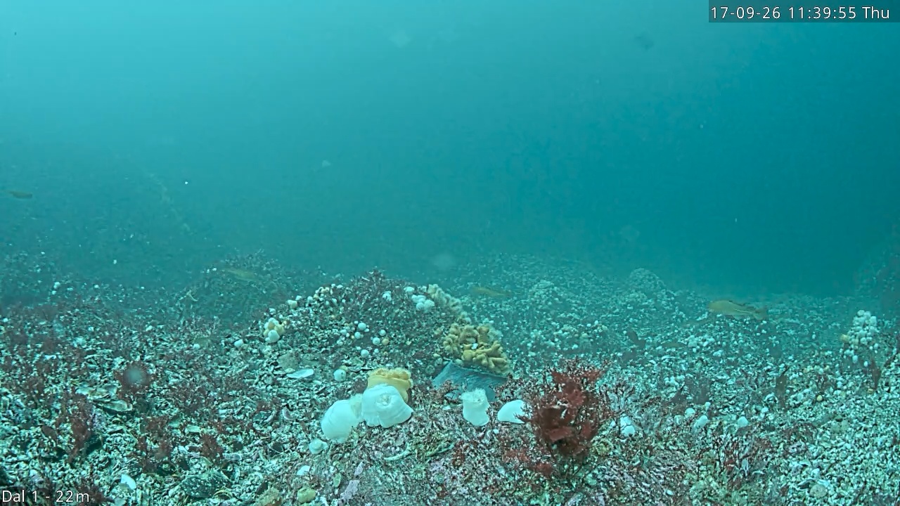 Video 2026-09-17 11:40