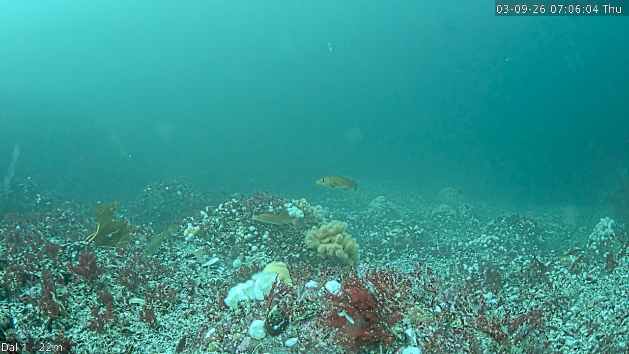 Video 2026-09-03 07:06