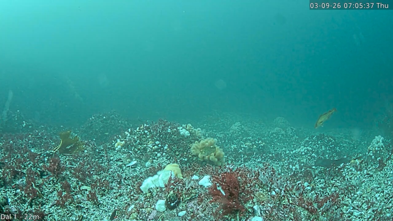 Video 2026-09-03 07:05