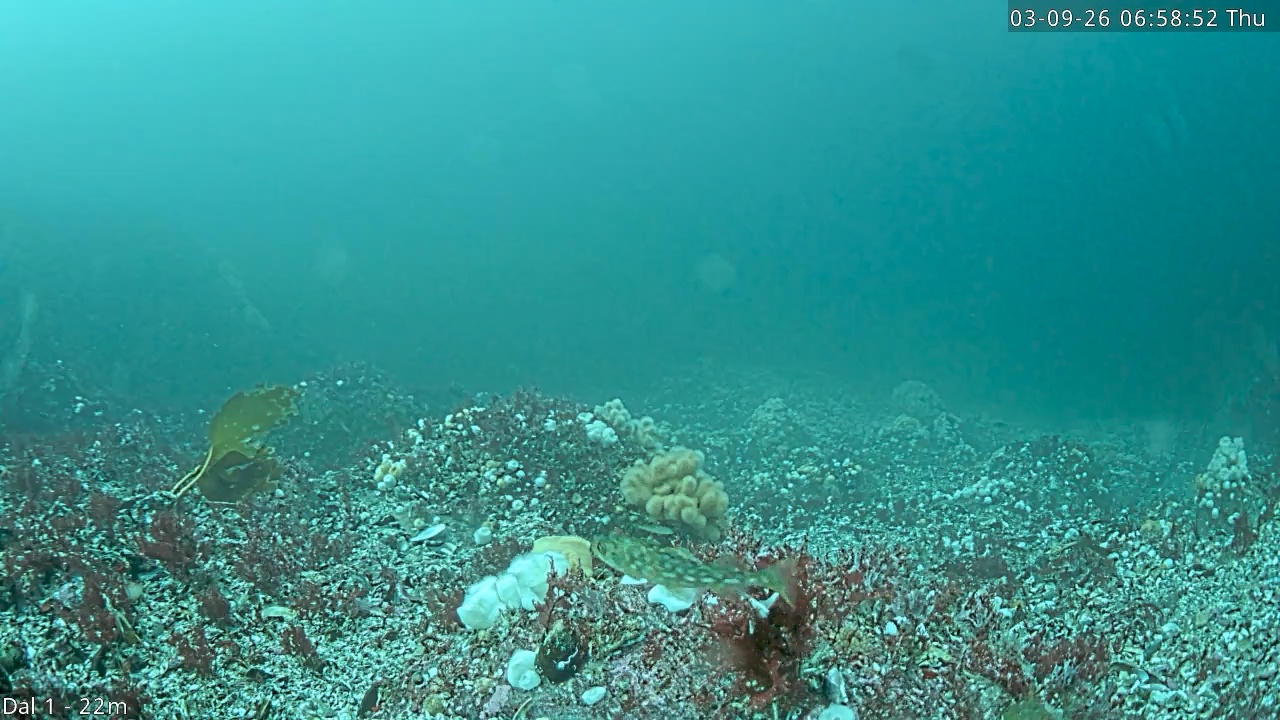 Video 2026-09-03 06:58
