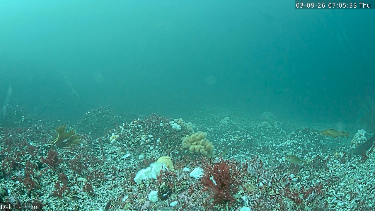 Video 2026-09-03 07:05