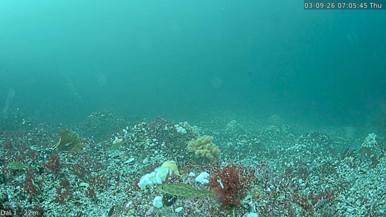 Video 2026-09-03 07:05