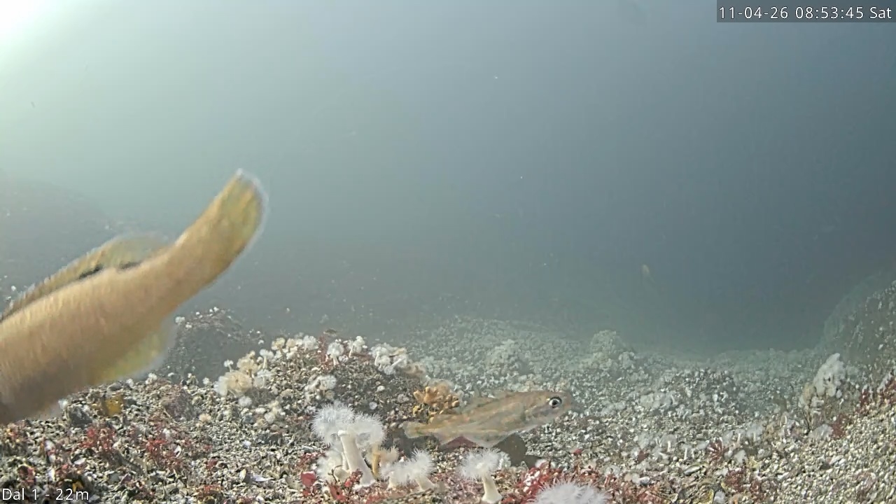 Video 2026-04-11 08:53