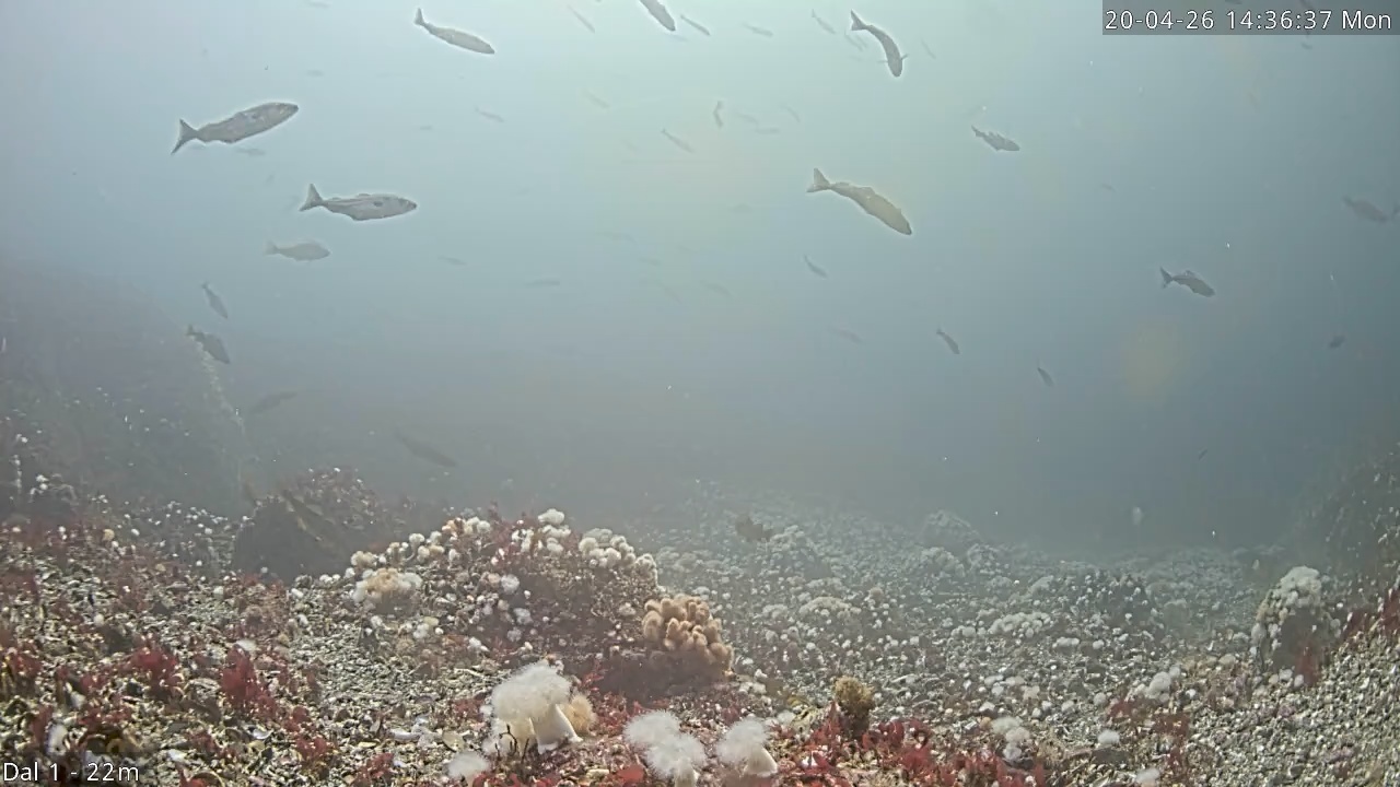 Video 2026-04-20 14:36