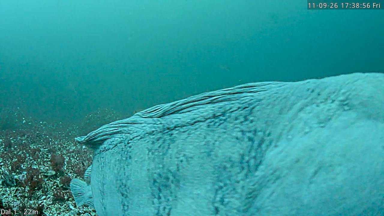Video 2026-09-11 17:39